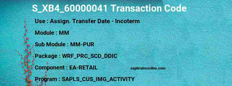 SAP S_XB4_60000041 transaction code