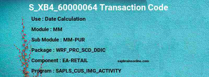 SAP S_XB4_60000064 transaction code