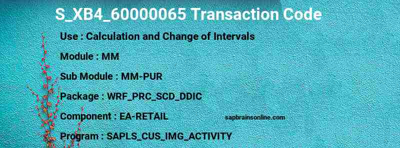 SAP S_XB4_60000065 transaction code