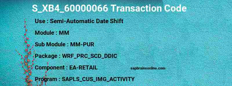 SAP S_XB4_60000066 transaction code