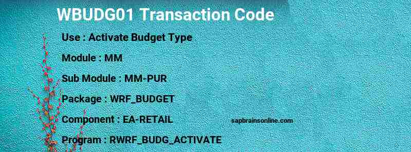 SAP WBUDG01 transaction code