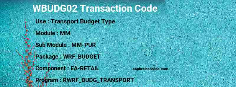 SAP WBUDG02 transaction code