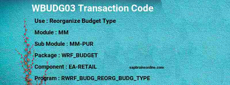SAP WBUDG03 transaction code