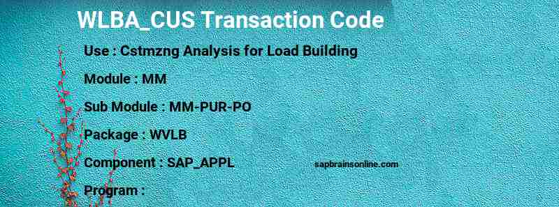 SAP WLBA_CUS transaction code