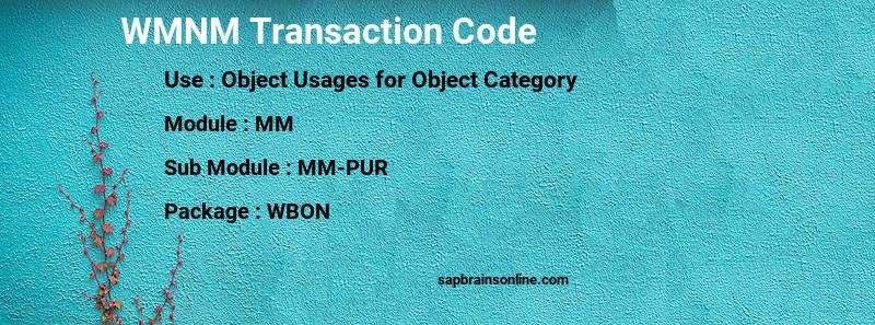 SAP WMNM transaction code