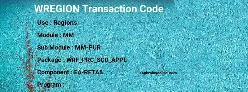 SAP WREGION transaction code