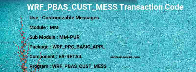 SAP WRF_PBAS_CUST_MESS transaction code