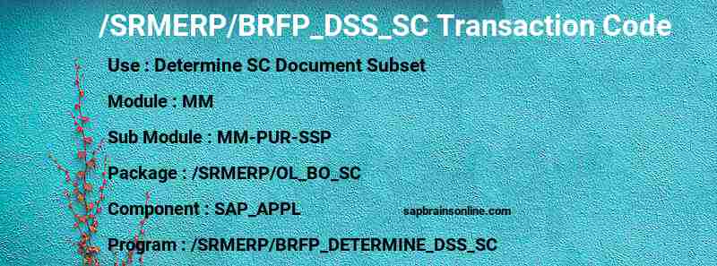 SAP /SRMERP/BRFP_DSS_SC transaction code