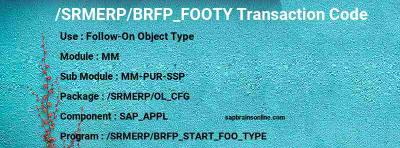 SAP /SRMERP/BRFP_FOOTY transaction code