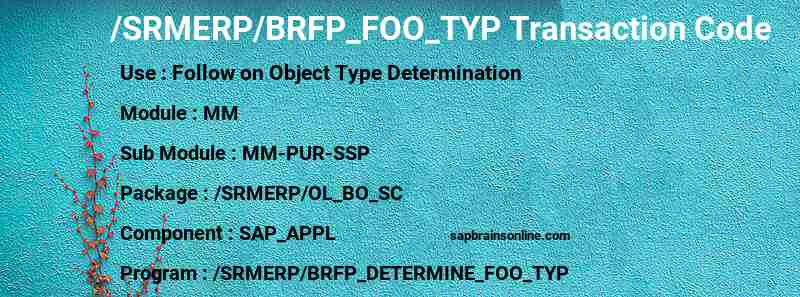SAP /SRMERP/BRFP_FOO_TYP transaction code