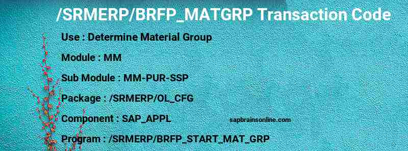 SAP /SRMERP/BRFP_MATGRP transaction code