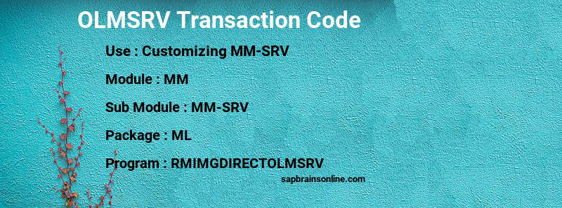 SAP OLMSRV transaction code
