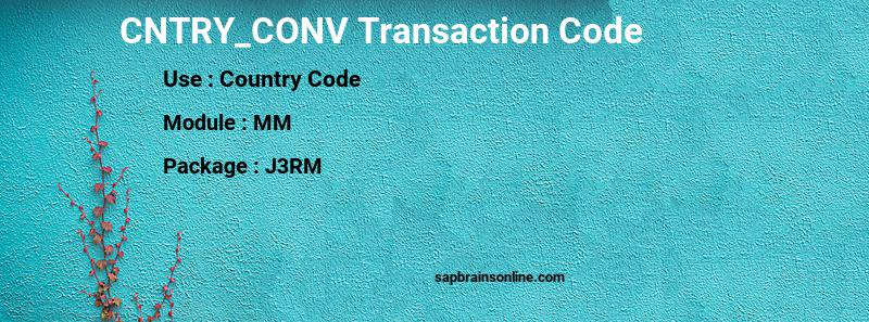 SAP CNTRY_CONV transaction code