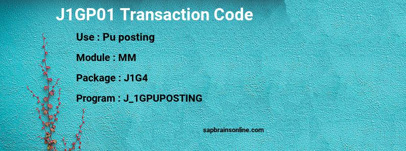 SAP J1GP01 transaction code