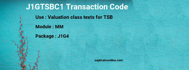 SAP J1GTSBC1 transaction code