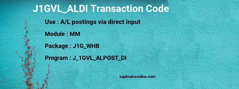 SAP J1GVL_ALDI transaction code