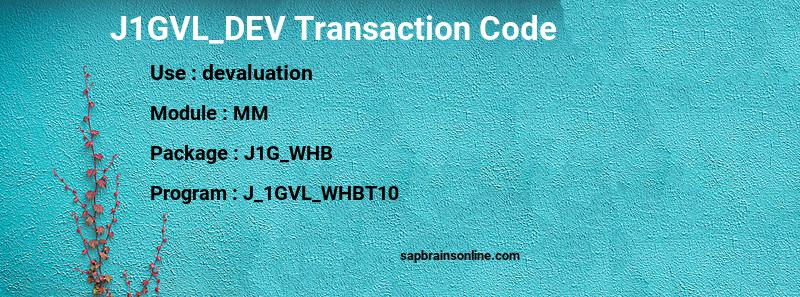 SAP J1GVL_DEV transaction code