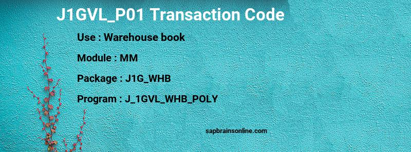 SAP J1GVL_P01 transaction code
