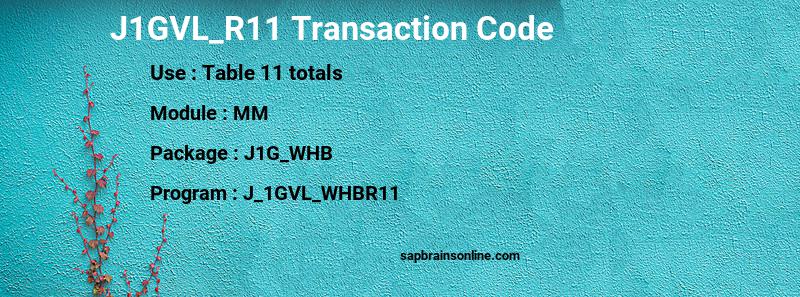 SAP J1GVL_R11 transaction code