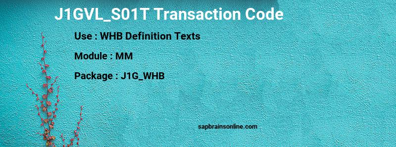 SAP J1GVL_S01T transaction code