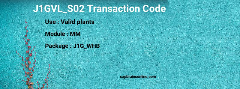 SAP J1GVL_S02 transaction code