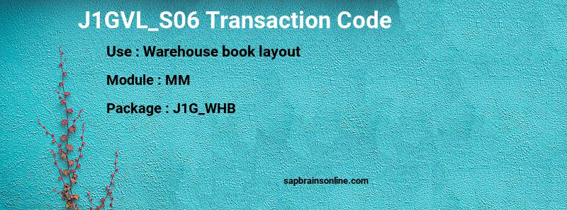 SAP J1GVL_S06 transaction code