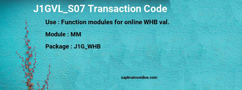 SAP J1GVL_S07 transaction code