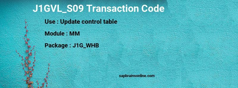 SAP J1GVL_S09 transaction code