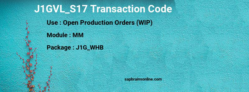 SAP J1GVL_S17 transaction code