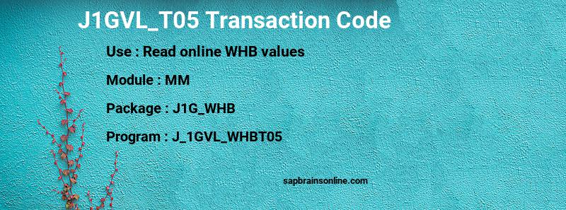 SAP J1GVL_T05 transaction code