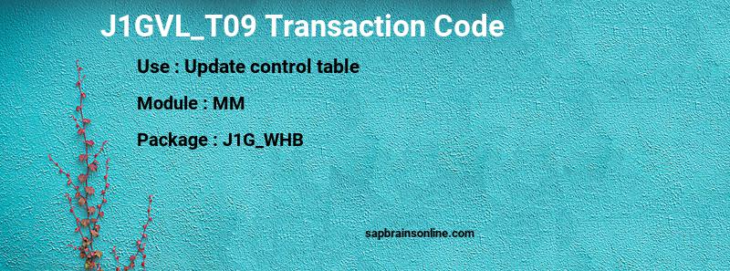 SAP J1GVL_T09 transaction code