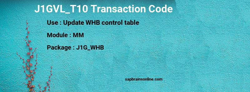 SAP J1GVL_T10 transaction code