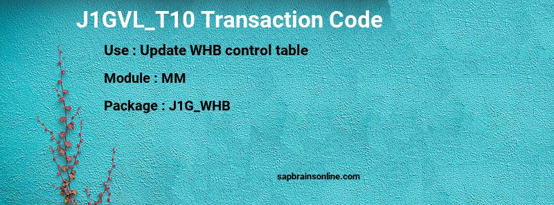 SAP J1GVL_T10 transaction code