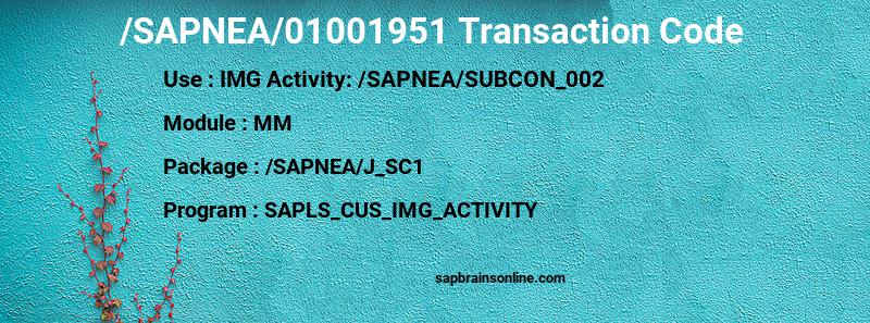 SAP /SAPNEA/01001951 transaction code