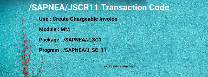 SAP /SAPNEA/JSCR11 transaction code