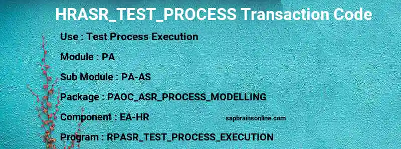 SAP HRASR_TEST_PROCESS transaction code