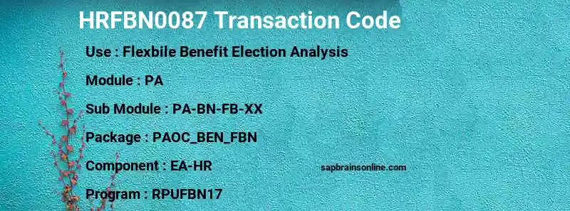 SAP HRFBN0087 transaction code