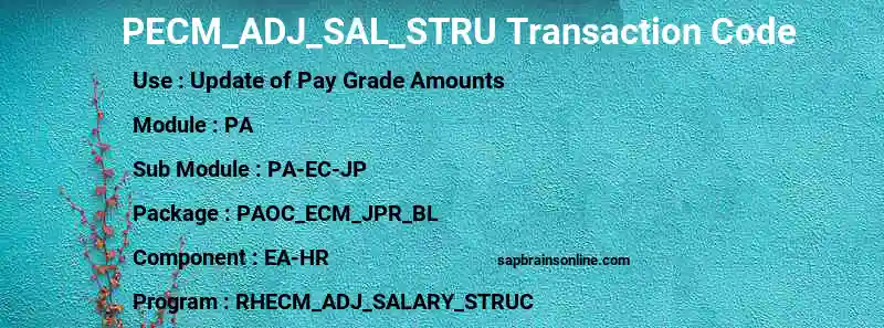 SAP PECM_ADJ_SAL_STRU transaction code