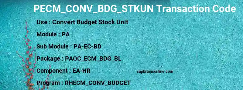 SAP PECM_CONV_BDG_STKUN transaction code