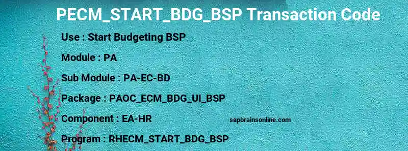 SAP PECM_START_BDG_BSP transaction code