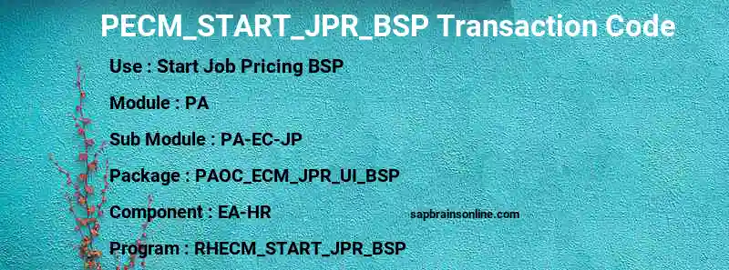 SAP PECM_START_JPR_BSP transaction code