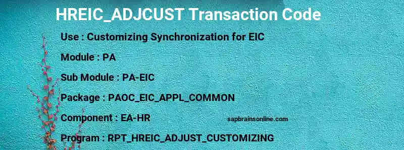 SAP HREIC_ADJCUST transaction code