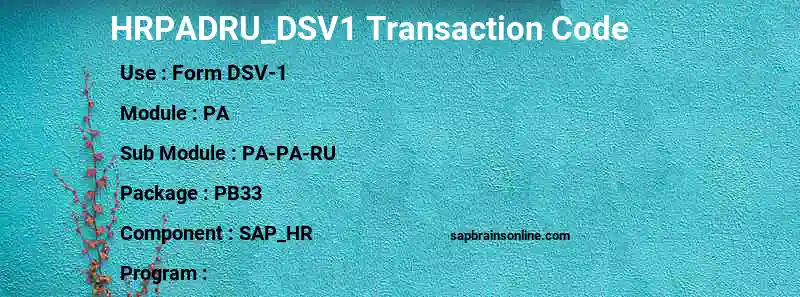 SAP HRPADRU_DSV1 transaction code