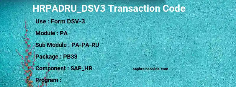 SAP HRPADRU_DSV3 transaction code