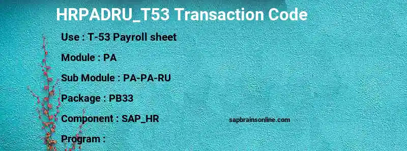 SAP HRPADRU_T53 transaction code