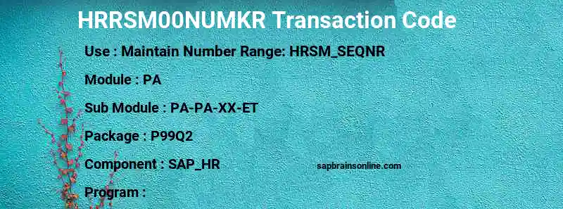 SAP HRRSM00NUMKR transaction code