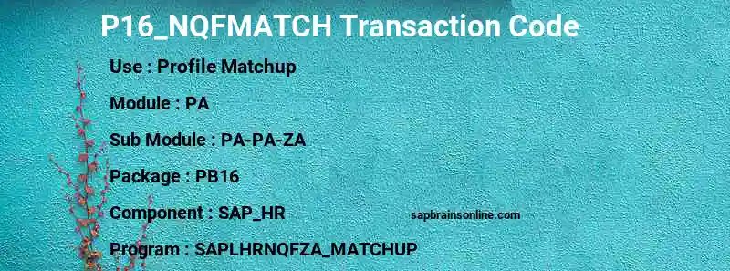SAP P16_NQFMATCH transaction code