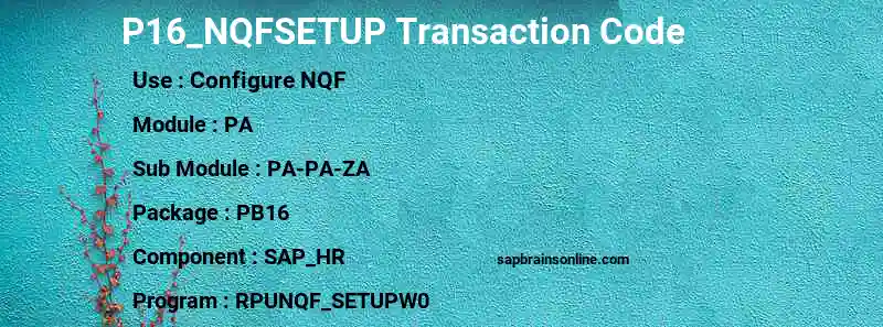 SAP P16_NQFSETUP transaction code