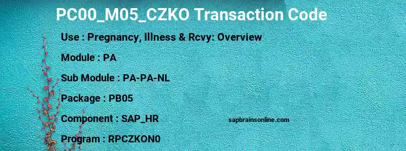 SAP PC00_M05_CZKO transaction code
