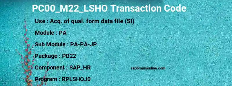 SAP PC00_M22_LSHO transaction code